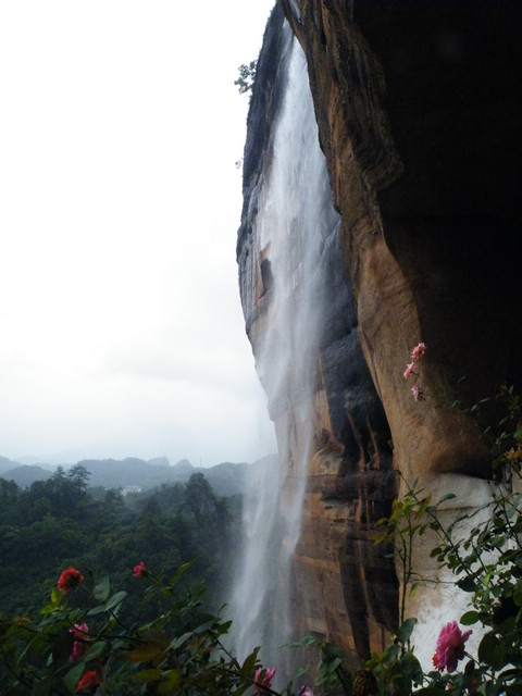 dscf5572.jpg