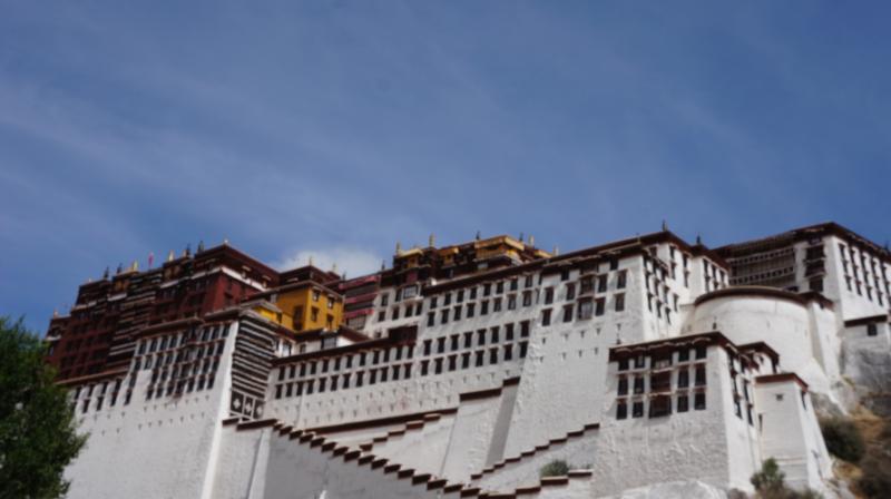 dsc01080.jpg