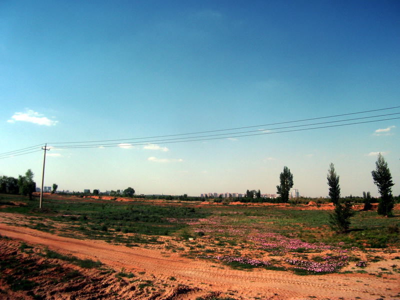 dscf0130.jpg