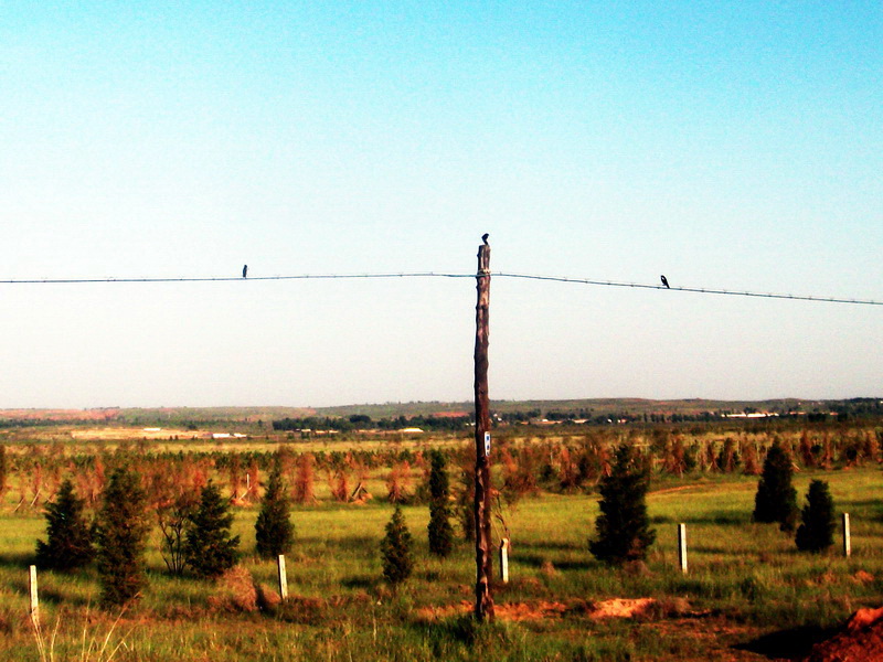 dscf0134.jpg
