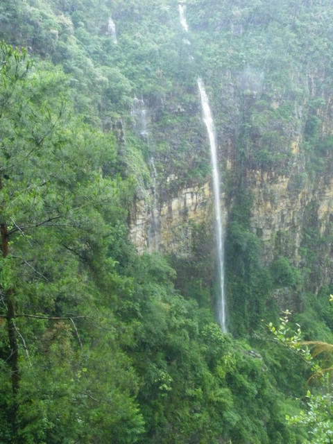 dscf5373.jpg