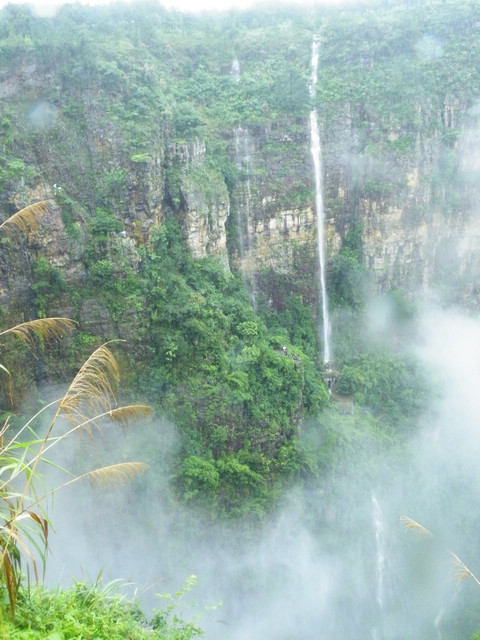 dscf5381.jpg