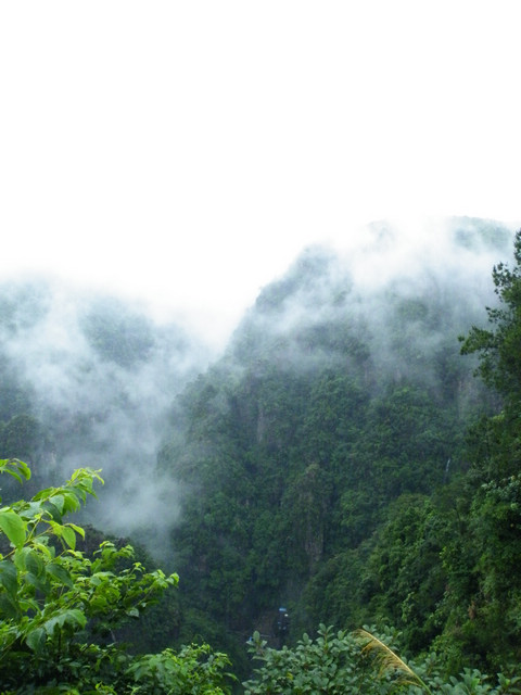 dscf5391.jpg
