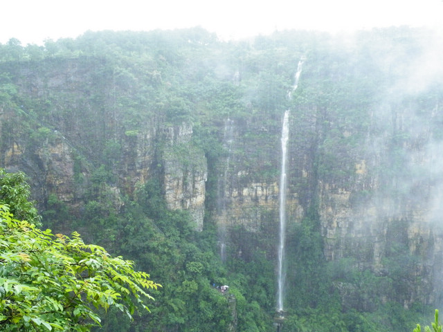 dscf5388.jpg