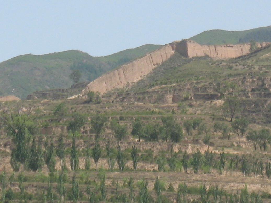 Ź-20.jpg