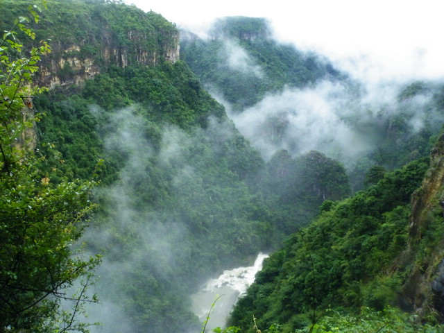 dscf5415.jpg