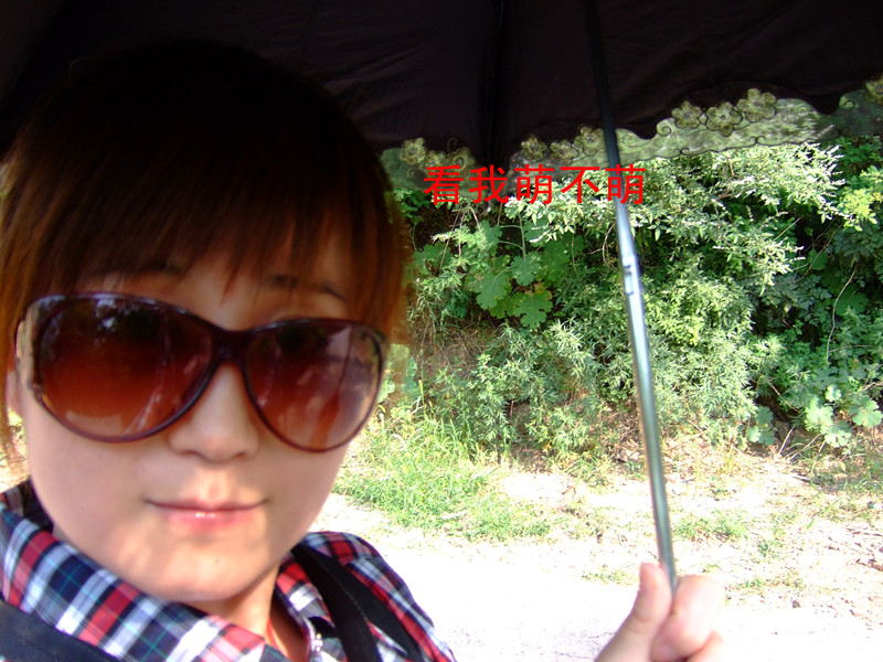 dscf0723_.jpg