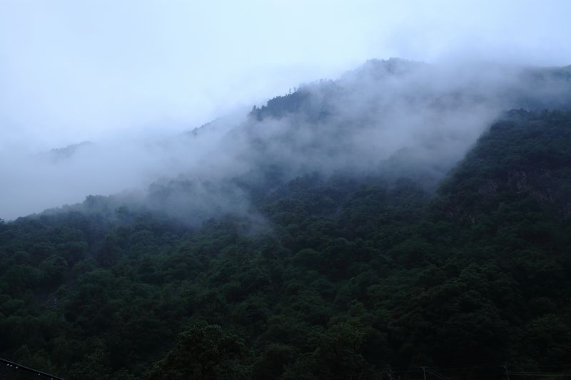 _mg_8542.jpg