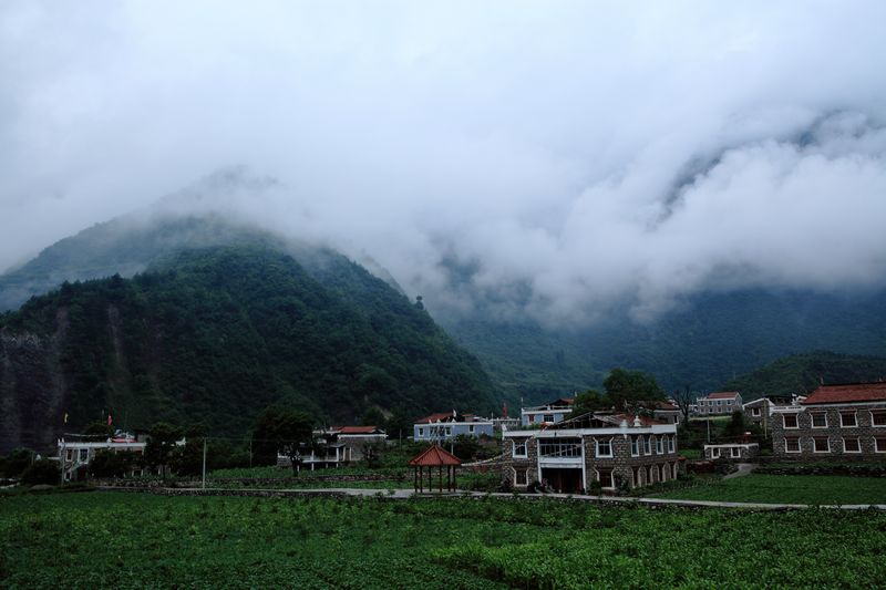 _mg_8559.jpg