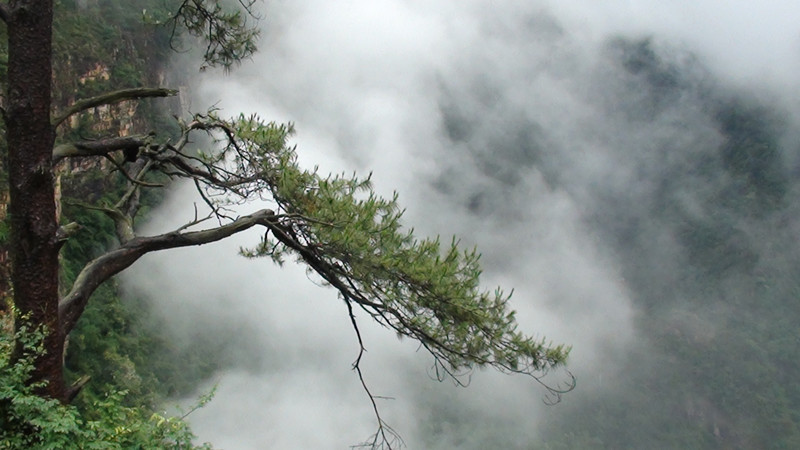 dsc01096_.jpg