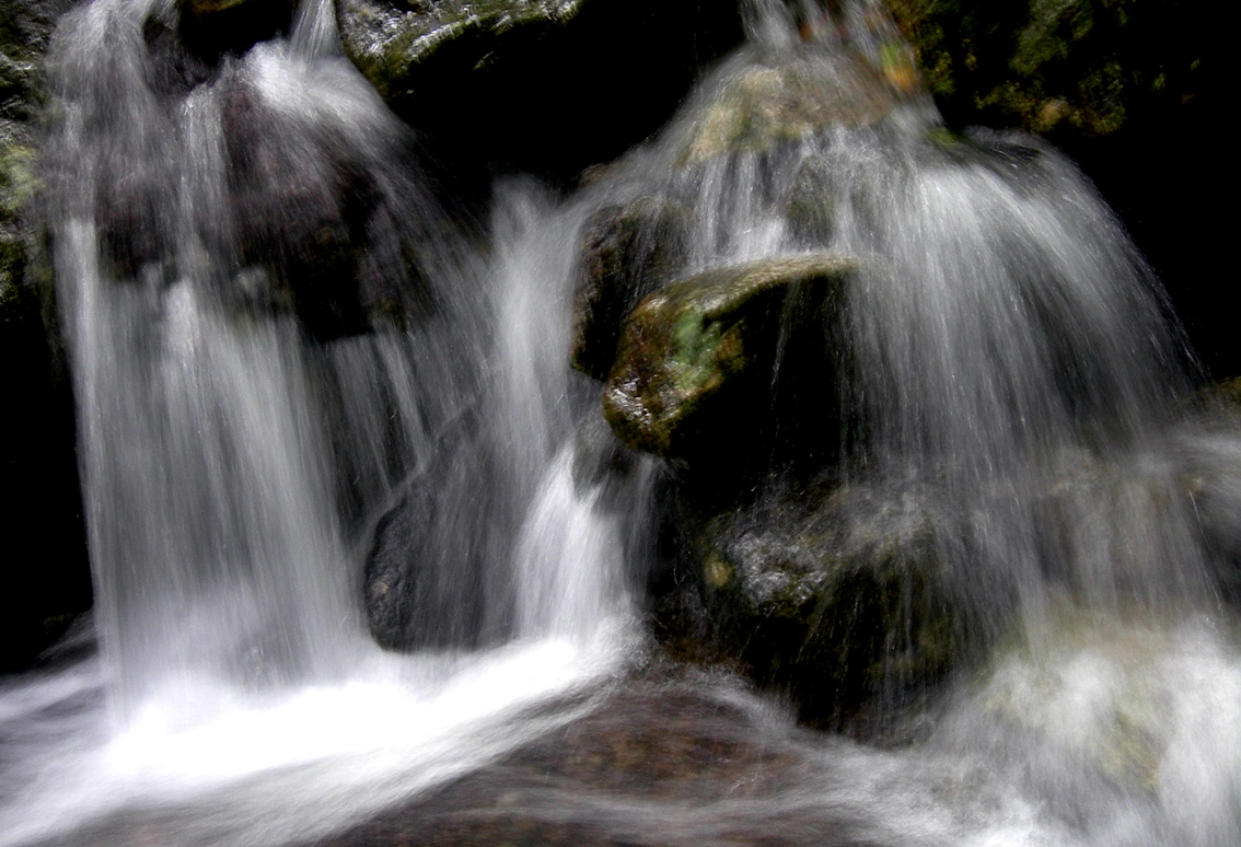 dscn4480.jpg