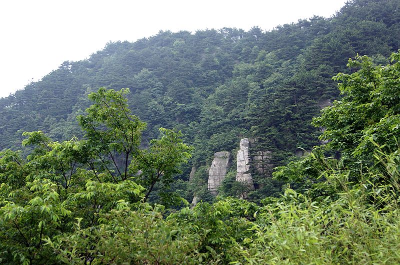 dsc01720.jpg