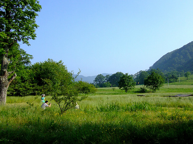 dscf6187ay.jpg