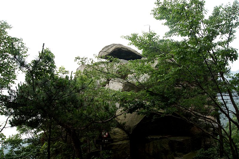 dsc01779.jpg