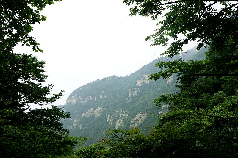 dsc01781.jpg
