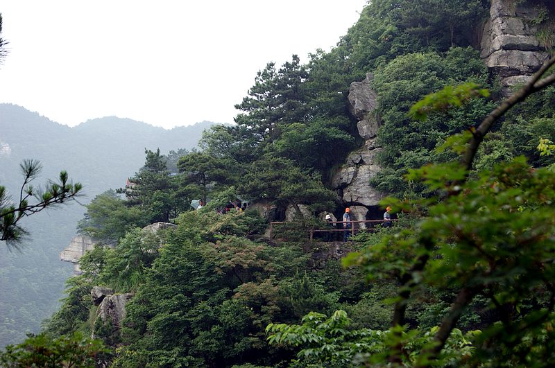 dsc01780.jpg