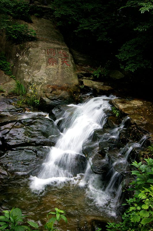 dsc01625.jpg
