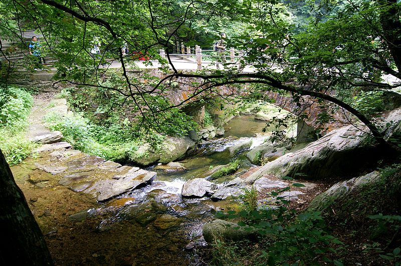 dsc01628.jpg