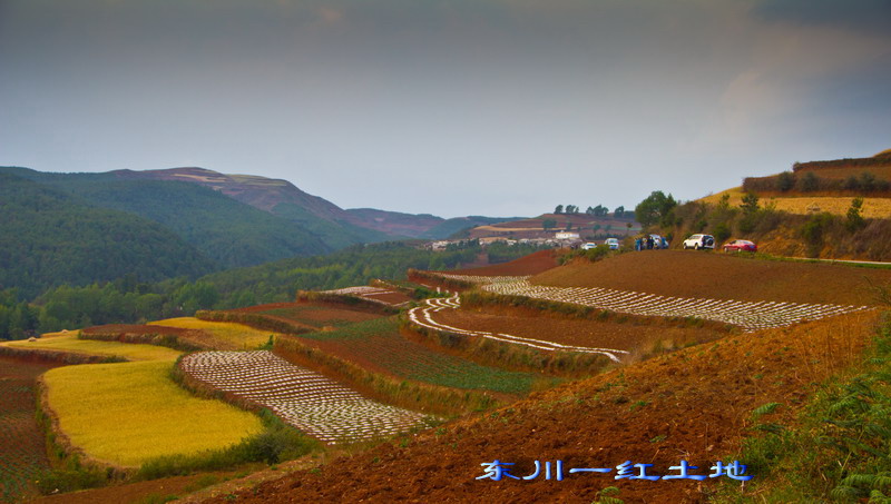 img_2929_缩小大小.jpg