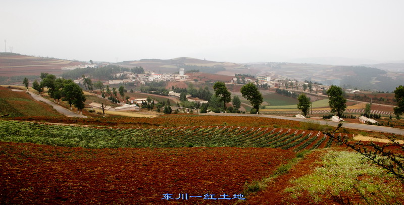 img_2991_缩小大小.jpg