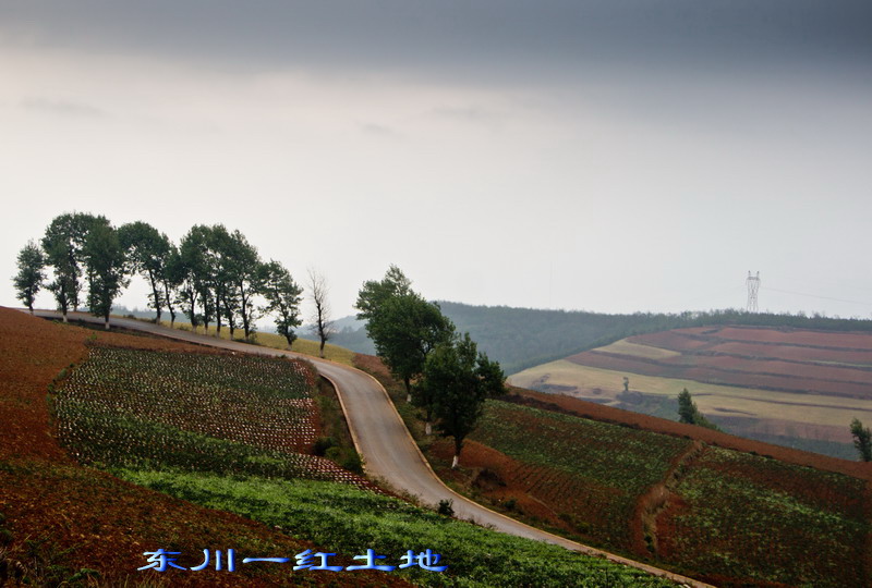 img_2998_缩小大小.jpg