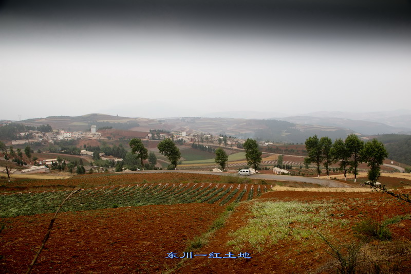 img_2992_缩小大小.jpg