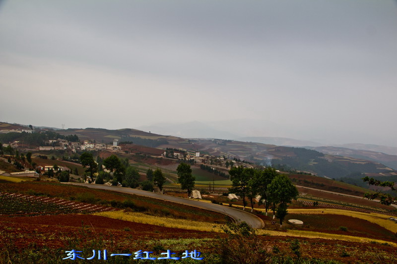 img_2999_缩小大小.jpg
