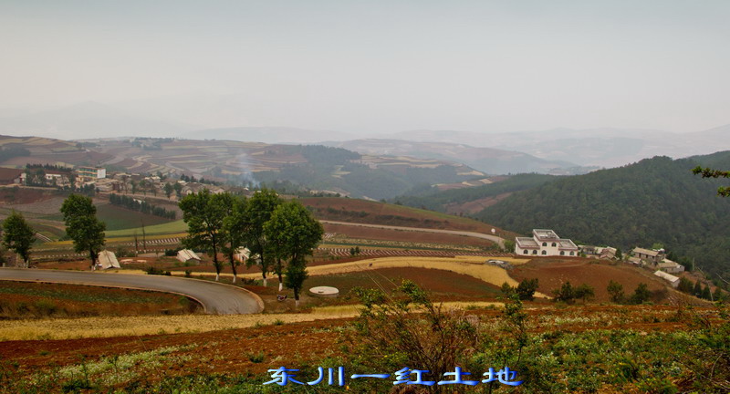 img_3001_缩小大小.jpg