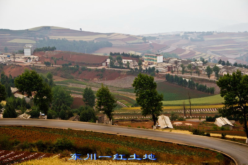 img_3002_缩小大小.jpg