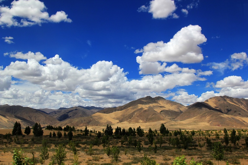 տ·;6.jpg