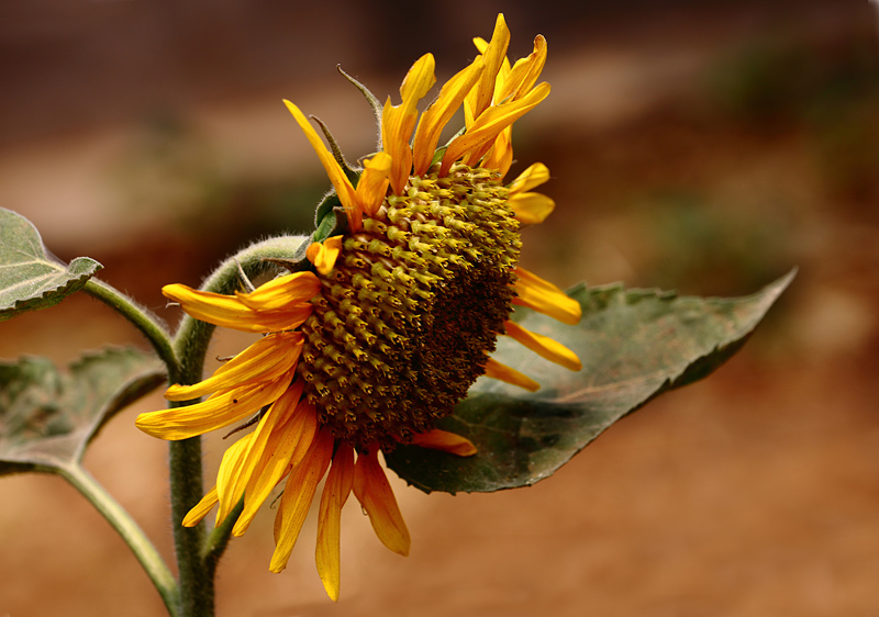 u0b2837.jpg