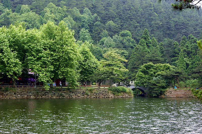 dsc01822.jpg