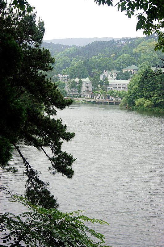 dsc01827.jpg