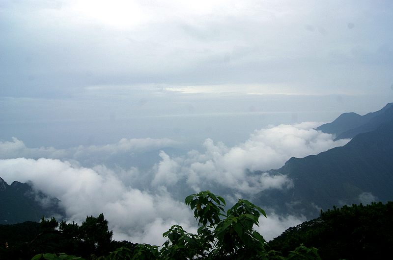 dsc01866.jpg