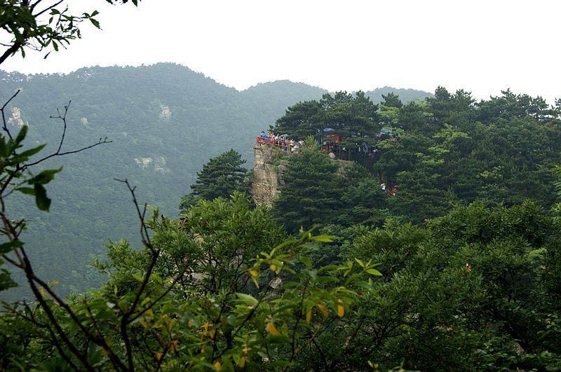 dsc01785.jpg
