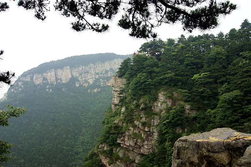 dsc01789.jpg