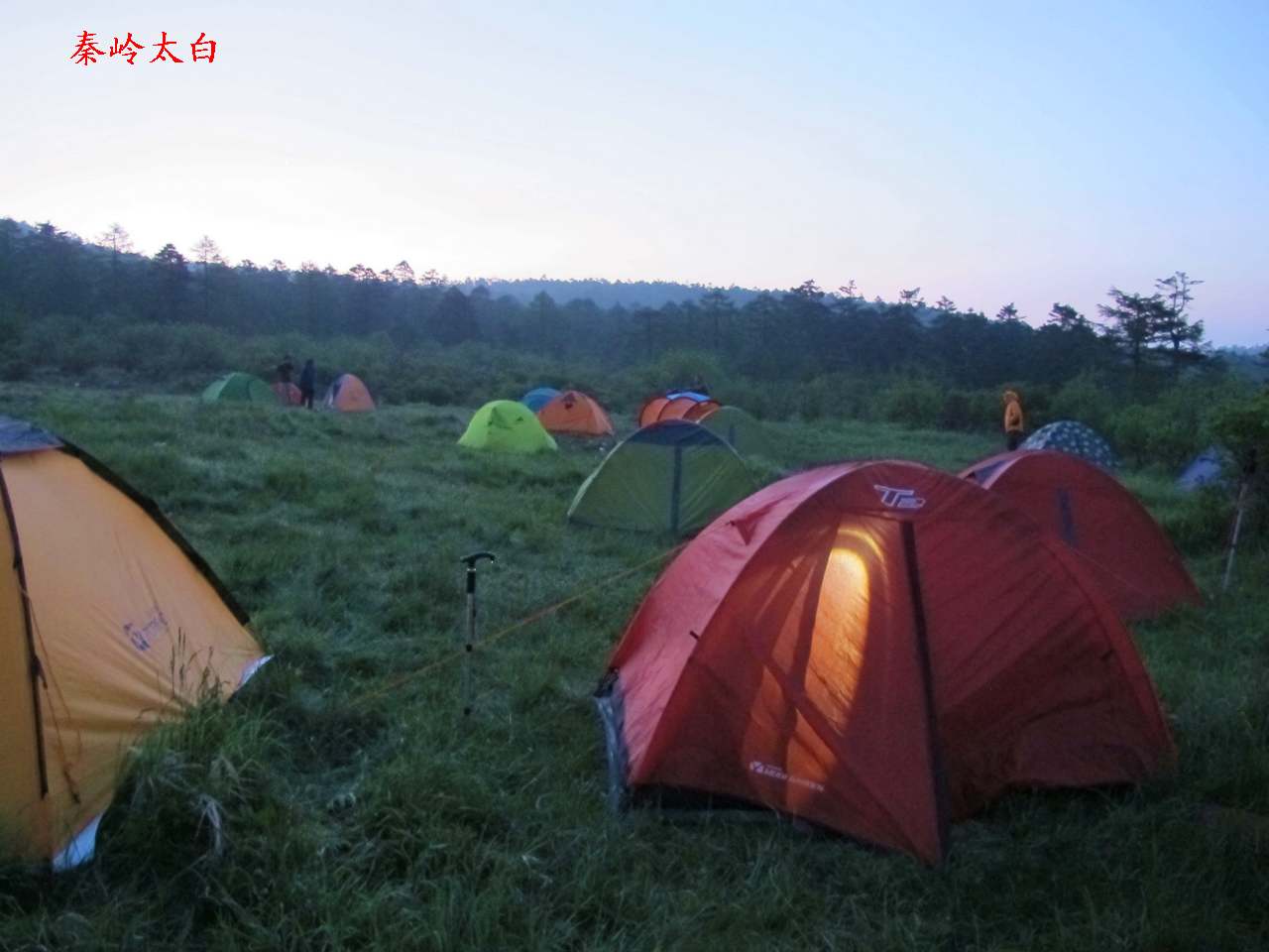 a9.jpg