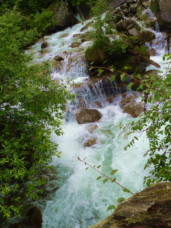 p1000451-1.jpg