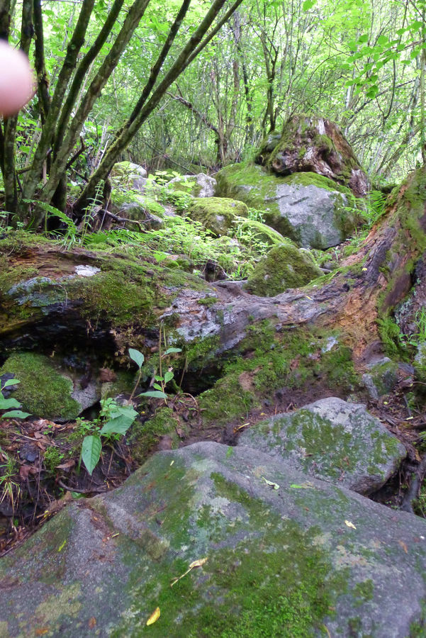 p1000467-1.jpg