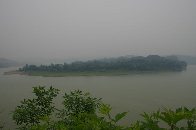 239.jpg