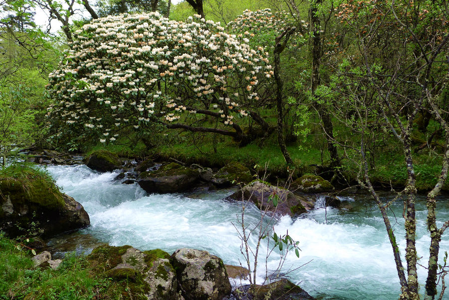 p1000568-1.jpg