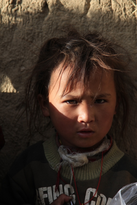 տ·;16.jpg
