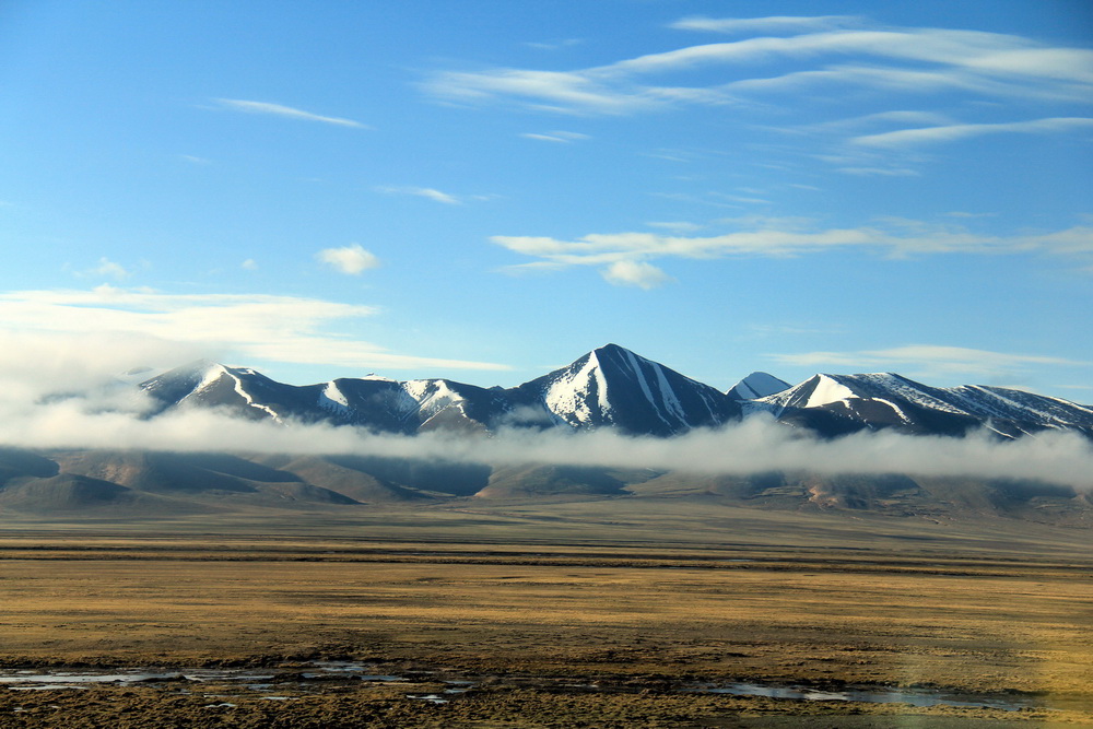 img_1658_С_С.jpg