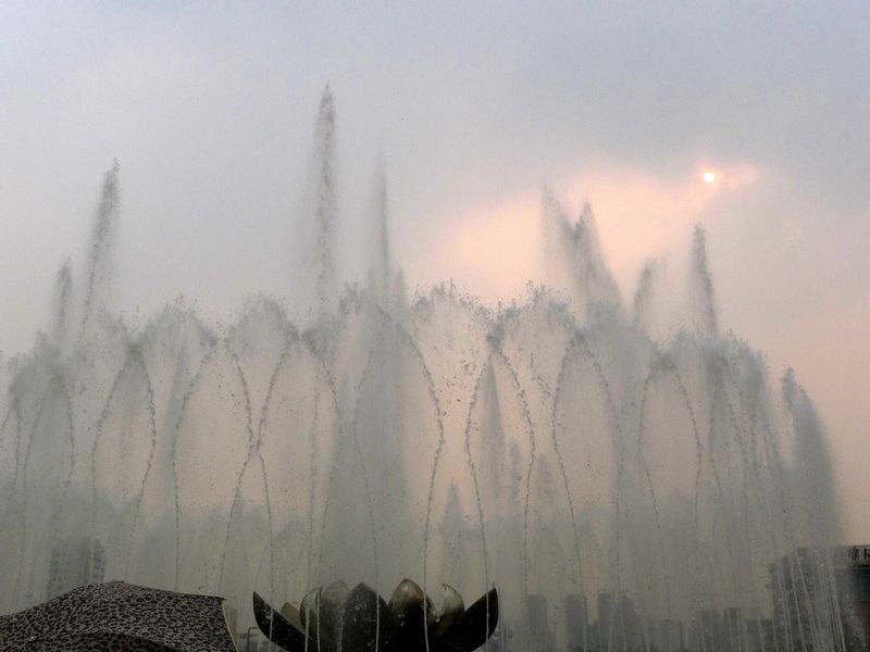 p1120878.jpg