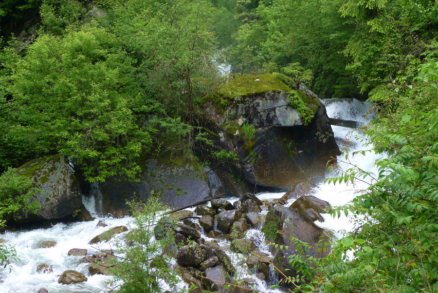 p1000455-1.jpg