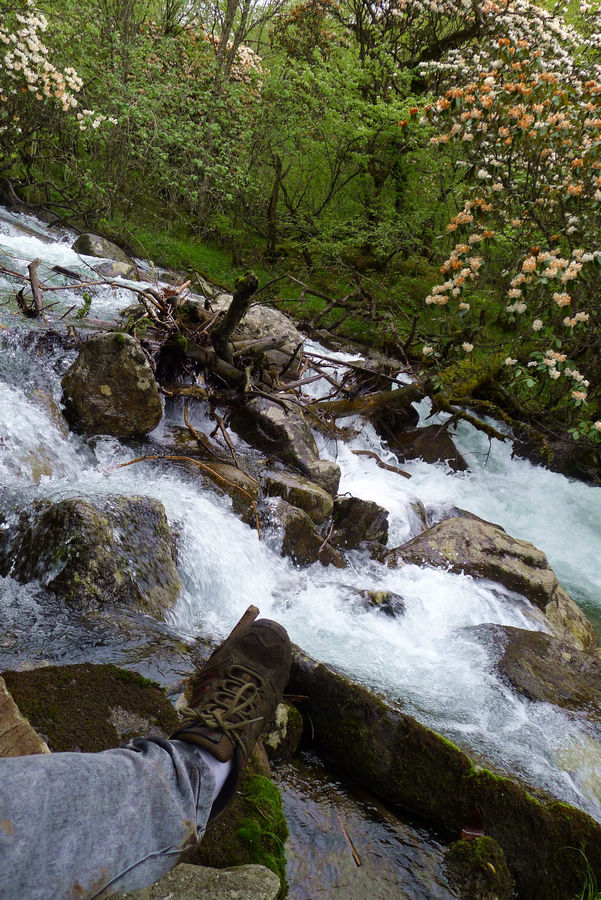 p1000566-1.jpg