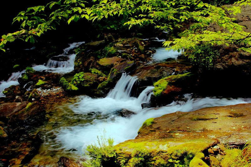 _mg_4037.jpg