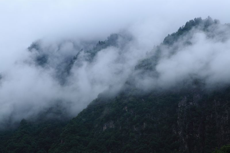 _mg_8577.jpg