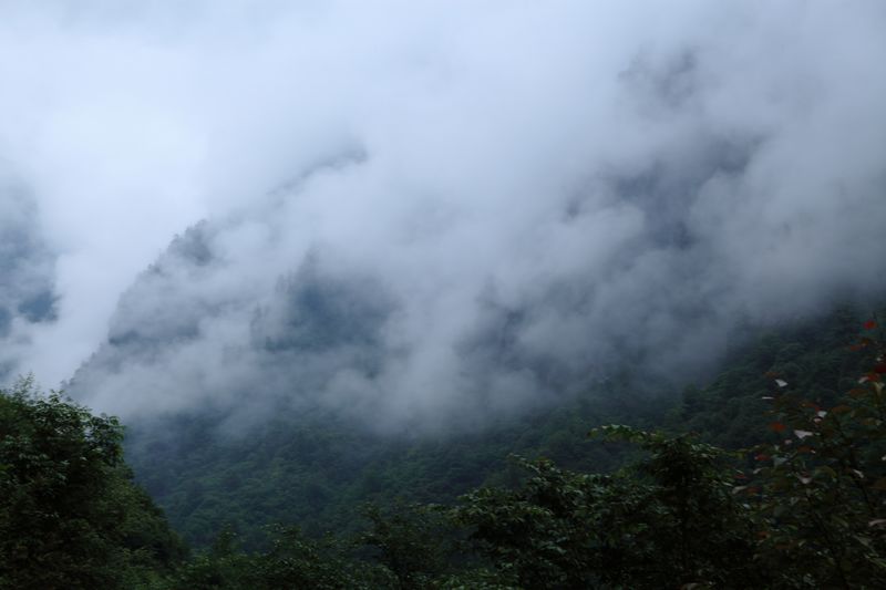 _mg_8615.jpg
