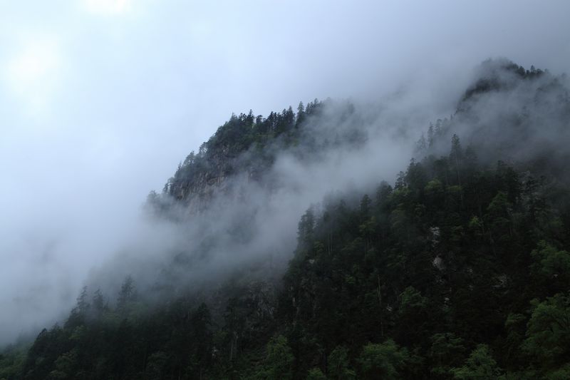 _mg_8644.jpg